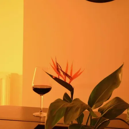 Sunny Central Urban Loft 헨트